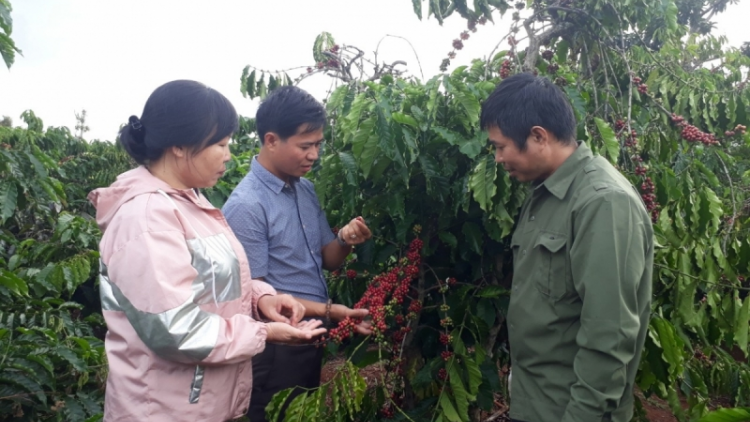 Dăk Lăk: Gàr niam lơngăp lơngai ờdo ờdă ai kàl pik plai kơphe in
