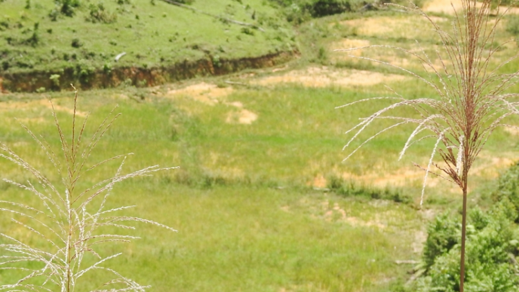 Kon Tum dong kờl làng bol gơtìp gơrềng tàm ală tŭ lơh gùng rơndeh 24