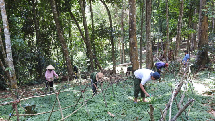 Kon Tum: sền gĭt bơta gơkòl, jòi broă lơh nàng gơ hòi gơ jà bơcri priă