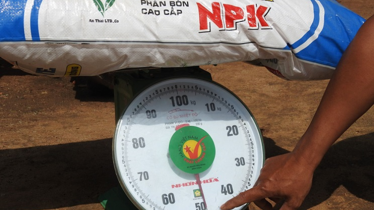 Kon Tum: Git gŏ dùl ròt ƀàu phơng dờng màng siñ họk An Thái NPK ờ tơl kĭ