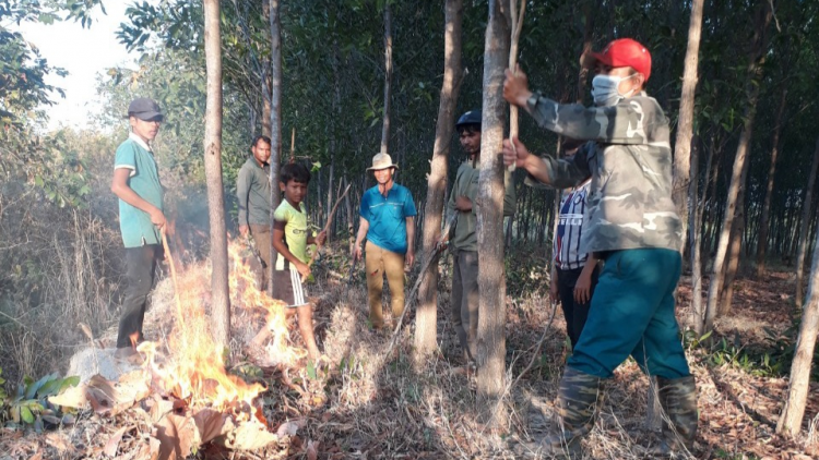 Gia Lai: Rơcang sơndră ồs sa brê jat jơnau đơs 4 tơn tàm dùl anih