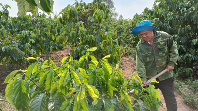 Cồng nha bơh broă lơh bơtàu tơnguh wơl mờ bơtàu tơnguh lơh sa- mpồl bơtiàn tàm càr Kon Tum