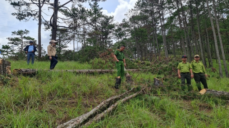 Lâm Đồng kràñ cê lơh glài kơnòl broă tŭ lời gơlik jơnau mus kơl brê