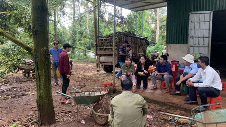 Dăk Lăk: Cau lơh broă sa yă mpồl lơh sa kă bro blac pơrlồm mã sồ tiah tam sầu riêng