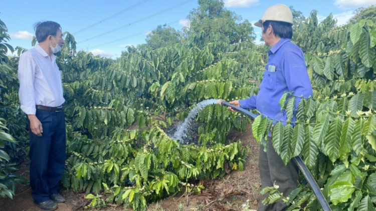 Dăk Lăk: Rơcang sơndră mờ trồ prang phan tam in
