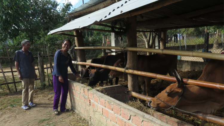 Gia Lai: Tơrgùm tơmù rơƀah tàm tiah làng bol kòn cau