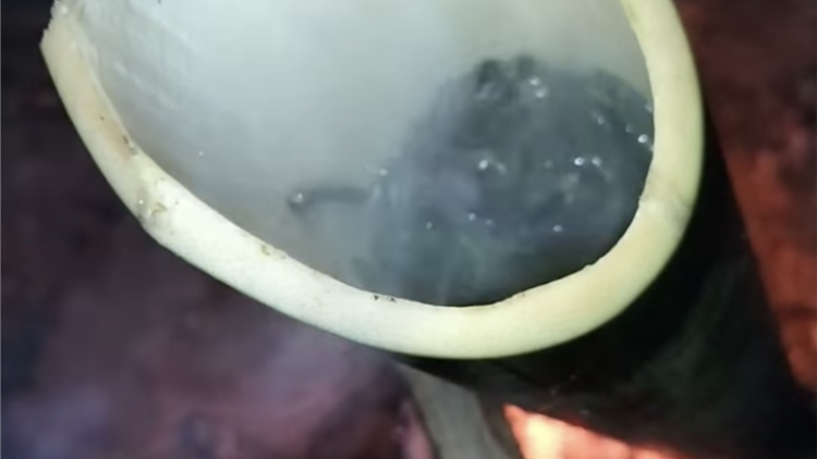 Biăp prùng kòn cau Mnông-Biăp sa bơh brê bơnơm dê