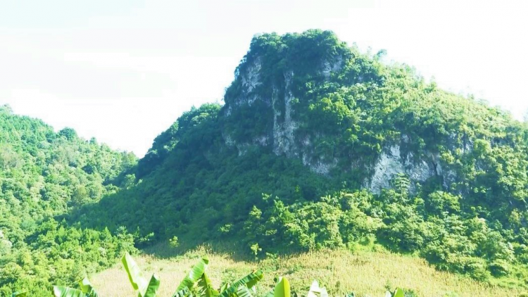 Ngai bồ nam pa lòt còp brê Đại tướng