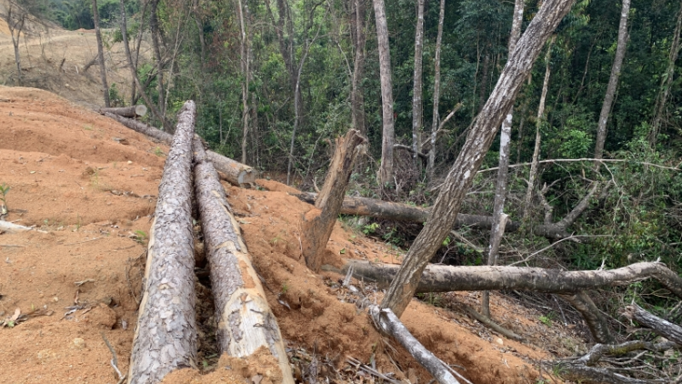 Cò tơnring tìs mờ adat boh lam brê dà lơgar nàng lơh gùng: Bơta ha pah dờng ngan ai mus kơl brê in