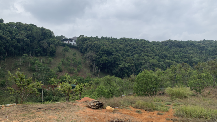 Gơguh khà priă ù lơh gơguh broă mus brê tàm Tây Nguyên