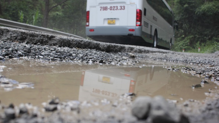 Càr Lâm Đồng mhar lơh niam wơl gơl gùng koèl kơh Mimosa gơtìp tơrlah uă