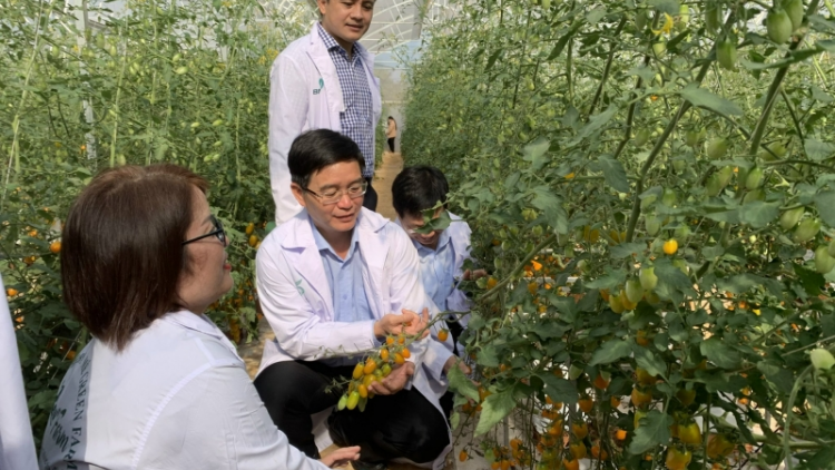 Gah lơh sa suơn sre càr Dăk Lăk lơh ngan tam gơl sồ nàng tơrgùm bal lơh sa