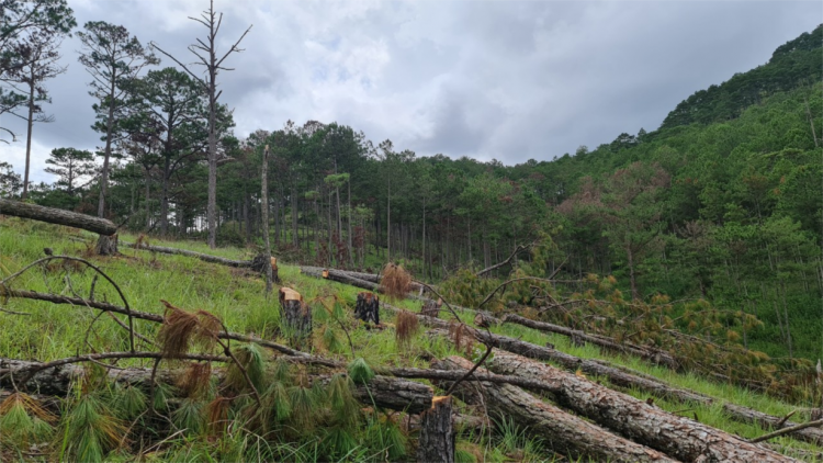 Gĭt nđờ rhiang tờm nho tàm brê rơcăng gàr bồ tô dà Dà Làc dê gơtìp bol blơ̆ mus kơl jơh