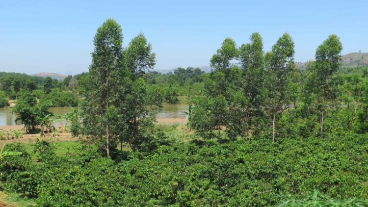 Sở Kông thương càr Kon Tum geh jơnau sồr “dŭt ndơl” gơwèt mờ hìu măy pờ tơlik ồs đèng Đăk Psi 5