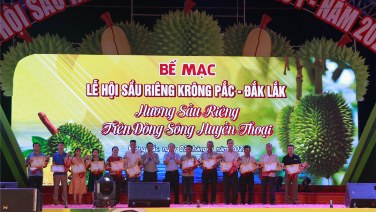 Dơ̆ lơh chờ Sầu riêng Krông Pách gơ hòi gơ jà 40 rơbô nă năc