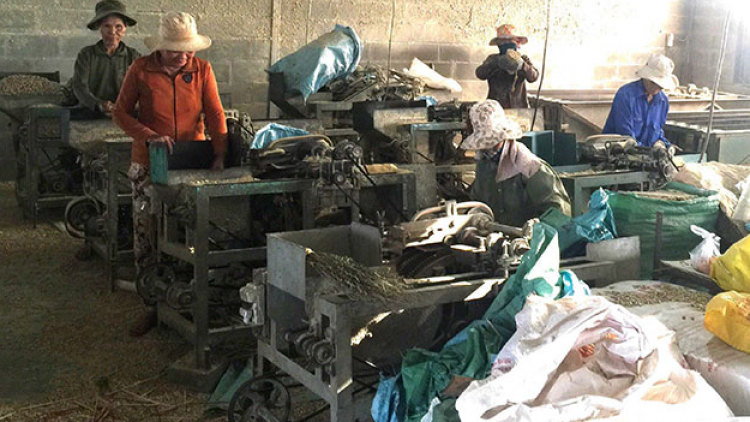 Rlau 94 rơbô nă cau tàm mpồl cau jơngo mat geh càn priă Kes priă dà lơgar bơsong broă lơh