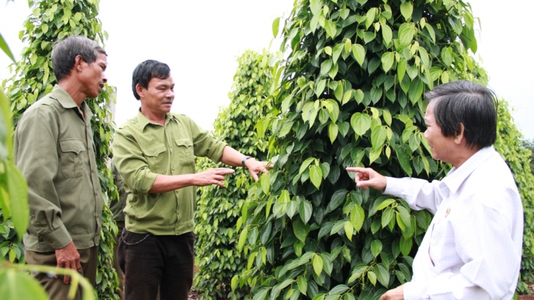 Pơrjum mpồl cau ling yau càr Gialai brồ guh bơhìan cau ling wa Hồ