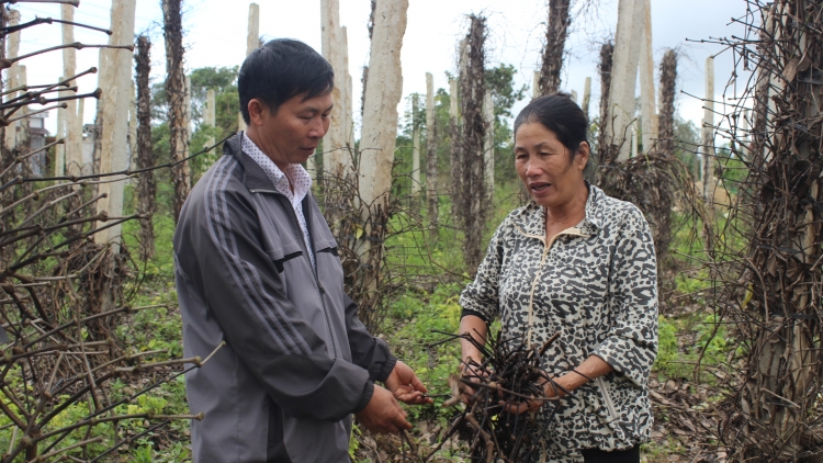 Trồ tiah tam gơl nisơna – Làng bol lơh broă sa kal ke
