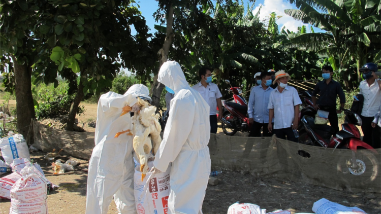 Dak Lak: Njrăng na nê| đah nuh srê kik djăr