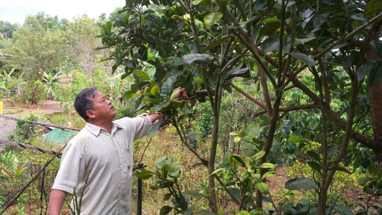 Tahen ơm Phạm Đức Triển-Nu\ih ntoh ang tâm nau rêh