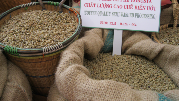 Nău kan cà phê Tây Nguyên klach rvê yor srê Covid-19.