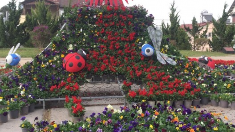 Ntơm pơk Festival kao Đà Lạt tâl 8 năm 2019