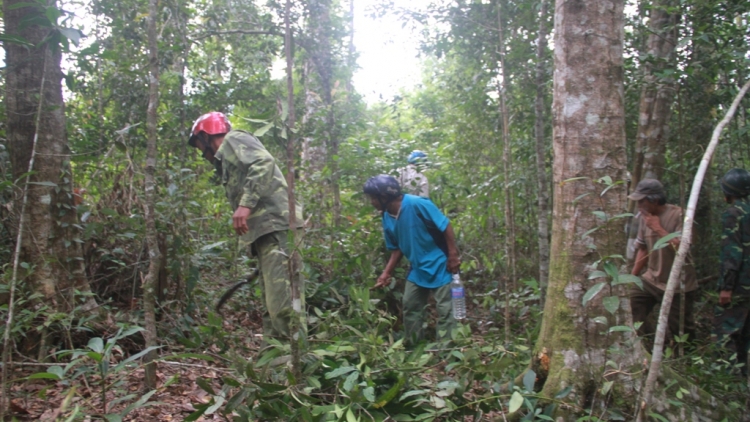 Ăp ntu\k ang bri mât nsum ta Đăk Glei