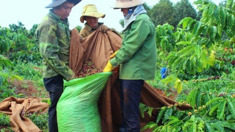 Nu^h [on lan Gia Lai jêr jo\t yor âk ntil ndơ lo\ mir mô săk geh, rnoh thuk