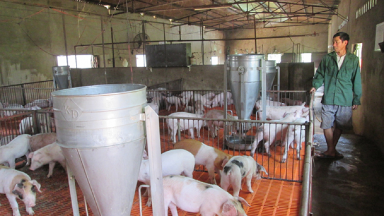 Dak Lak: ân uănh n’hêl na nê| mât rơ\ tay rnôk mô ho\ le\ nuh srê ji ndu\l djroh su\r châu Phi