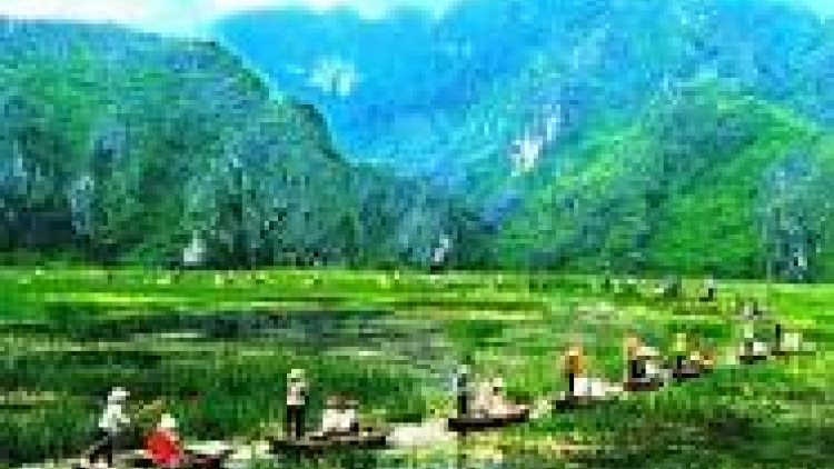 Tsaz yênhx nta suôz luk Hmôngz hnuz 31-1-2015