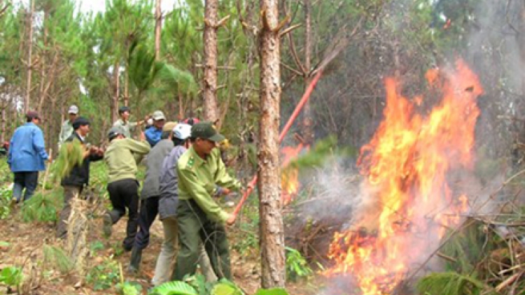 Tsaz yênhx nta suôz luk Hmôngz thưr 2 hnuz 16/3/2015