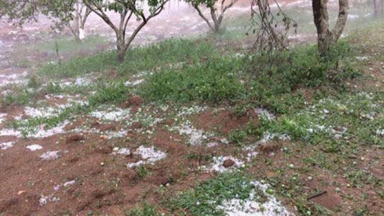 Xor xưv faz Bắc hnuz 8-5-2017