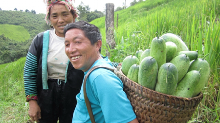 Tsaz yênhx nta suôz lul Hmôngz hnuz 8-2-2017