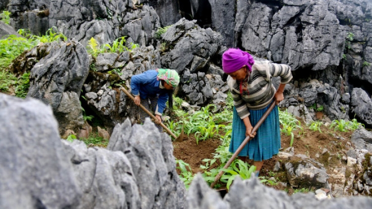 Pok tâu sơưv têx nhiêx paz tsi muôx đas jos uô lox tôngv nta suôz hnuz 26-5-2017