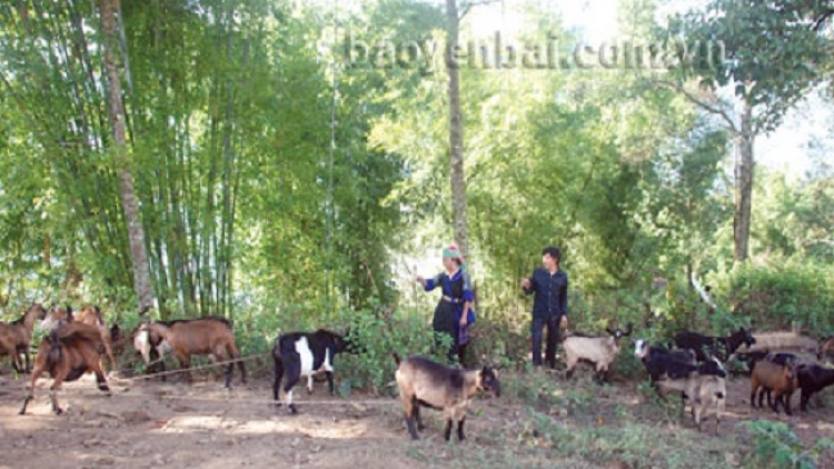 Ninh Thuận: Lênhx pox niêv uô bluô nux cxôngx tu zus yik nta suôz hnuz 28-9-2017