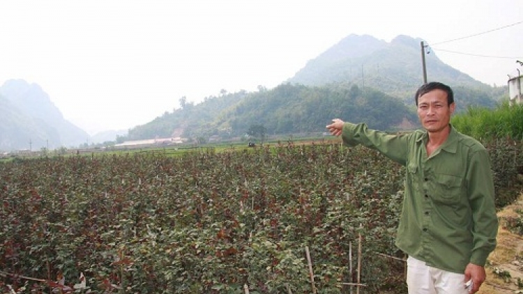 HĐ tỉnh Sơn La tso tơưv Nghị quyết lok tsênhv chei paz txưv huôv tsar hợp tác xã chos ntông nox txir, yuôx đrox njuôz hâur têx xuz ntông sâuv thax tsav tỉnh, ntu 2017-2021 nta suôz hnuz 12-5-2017