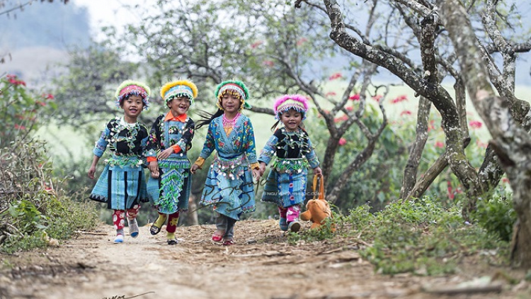 Xor xưv faz Baz hnuz 23-10-2019