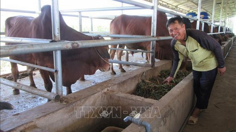 Nôngx mênhx zuôr tsuv pâuz hnuz 17-9-2019