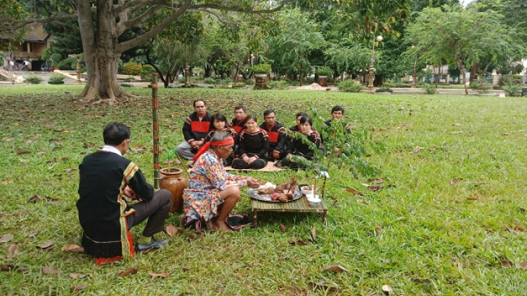 Cxuô hêir nênhs VN têx cêr nênhx vênhx huôv jông hnuz 18-5-2019