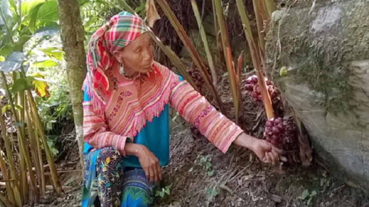 Nôngx mênhx zuôr tsuv pâuz hnuz 24-9-2019