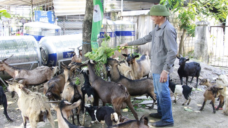 Nênhs gruôs uô tâu hâux lưv jông hnuz 30-5-2019