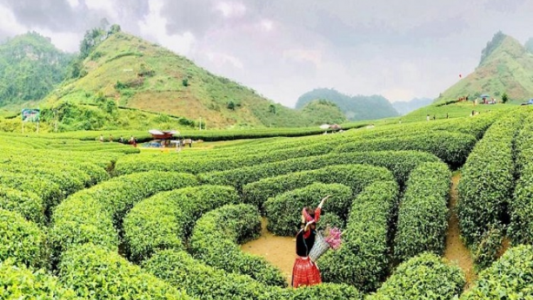 Xor xưv faz Baz hnuz 14-10-2019