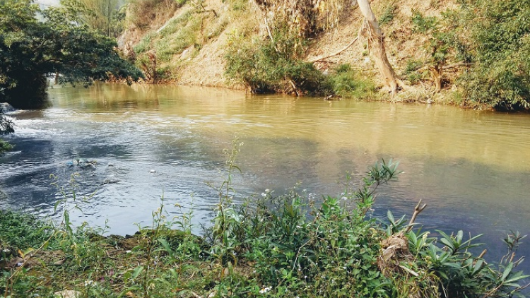 Tsaz yênhx nta suôz luk Hmôngz hnuz 8-4-2019