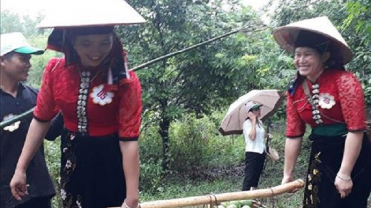 Xor xưv faz Bắc hnuz 28-4-2020