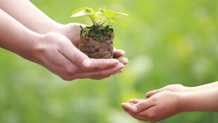 Nriêr pâuz lok cêr chei pháp luật hnuz 16-11-2021