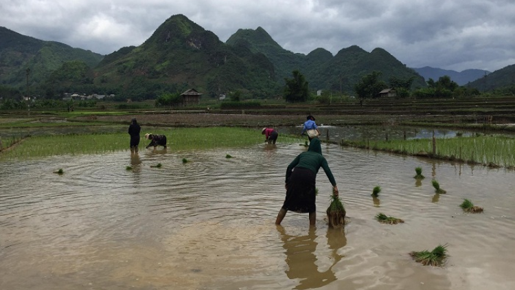 Phênhv nênhs jông uô hâux lưv jông hnuz 19-8-2021