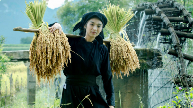 CO CHẢ DÀU SLÈO NOỌNG