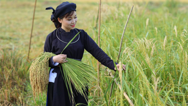 THEN CỔ: BÁCH HOA MỪA TÀNG