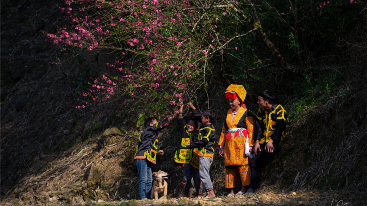 CHƯƠNG TRÌNH KHAY HENG TIỂNG TÀY - NÙNG (Chủ Nhật, Vằn 12 bươn 9 pi 2021)