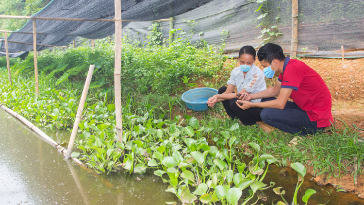 TÀNG DƯỞNG LIỆNG HOI NÀ DÚ THƯỢNG NUNG, VÕ NHAI, THÁI NGUYÊN